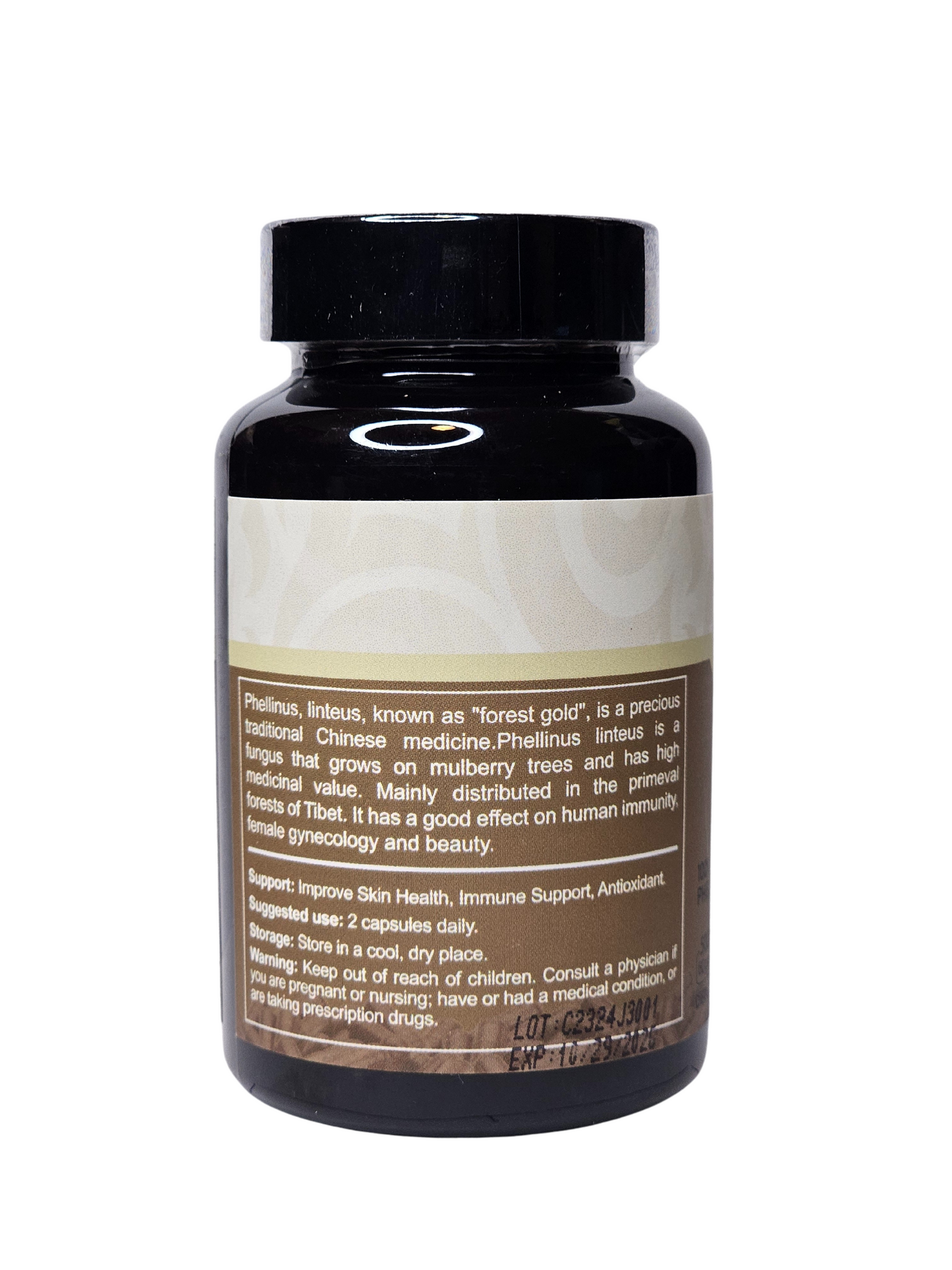 Phellinus Extract - 500mg - 60 Count