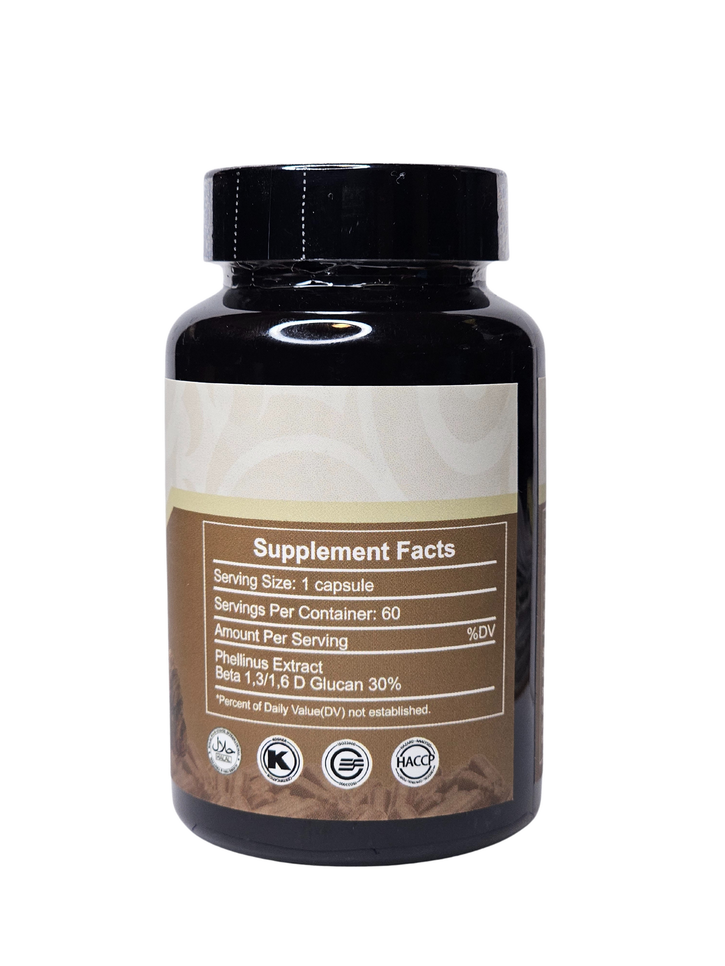 Phellinus Extract - 500mg - 60 Count