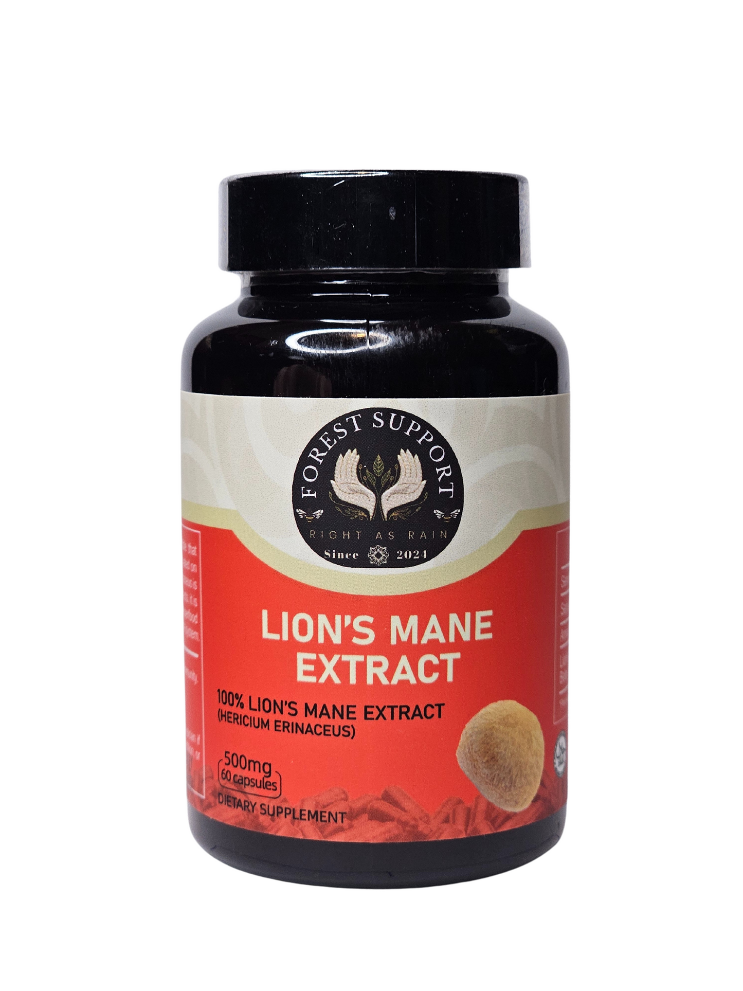 Lion`s Mane Mushroom - 500mg - 60 count