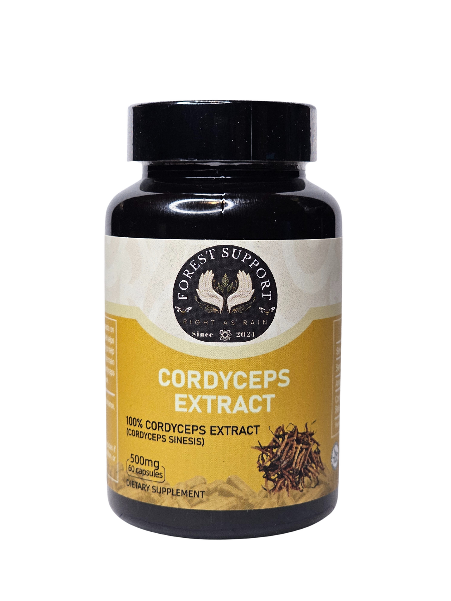 Cordyceps Extract - 500mg - 60 Count