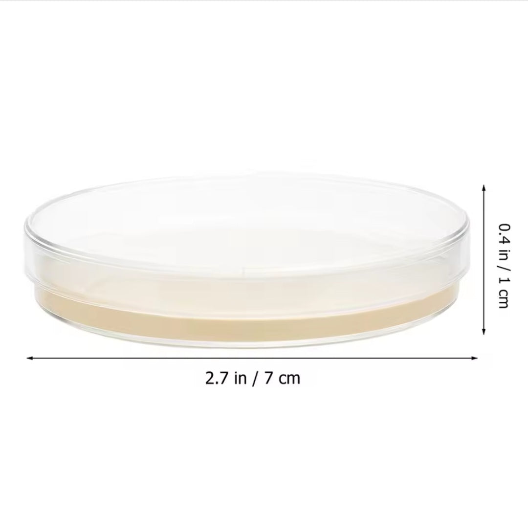 (10 Pack) Pre-Poured Sterilized Mushroom Nutrient Agar Petri Dishes