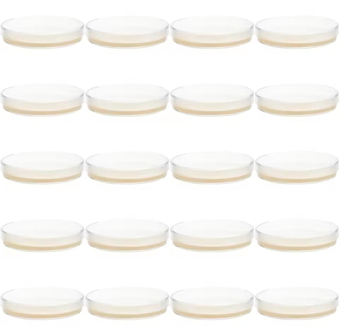 (20 pack) Pre-Poured Sterilized Mushroom Nutrient Agar Petri Dishes
