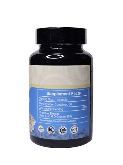 Poria Cocos Extract - 500mg - 60 count
