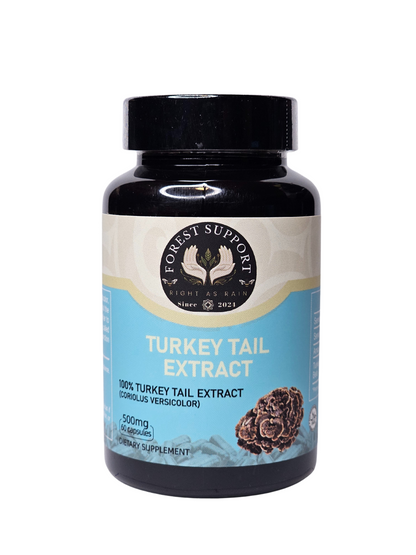 Turkey Tail Extract - 500mg - 60 Count