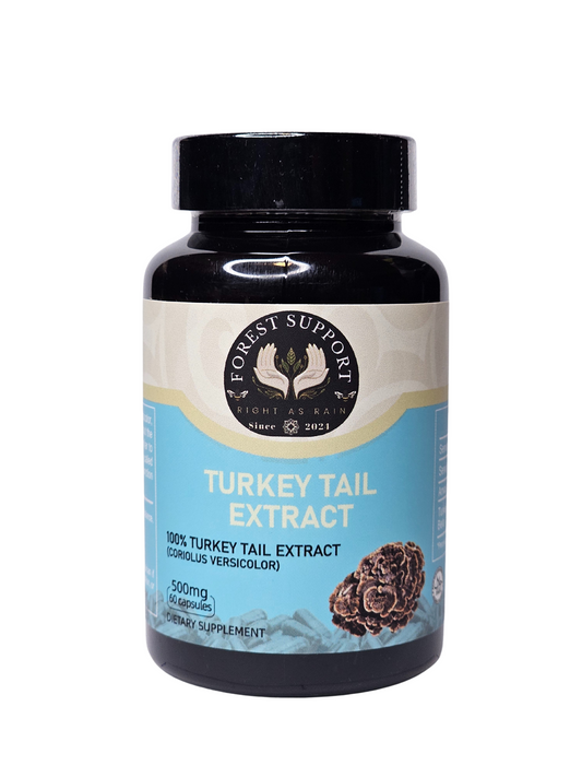Turkey Tail Extract - 500mg - 60 Count
