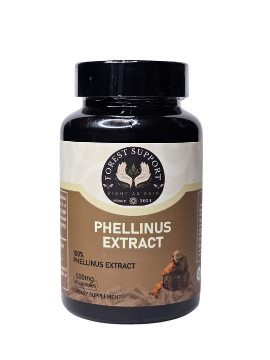 Phellinus Extract - 500mg - 60 Count