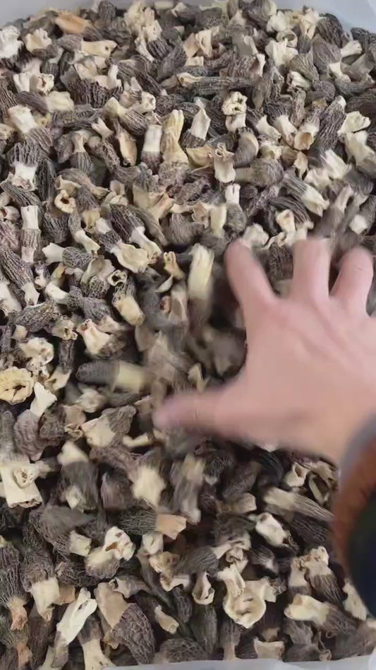 Dried Morel Mushroom - 28g -